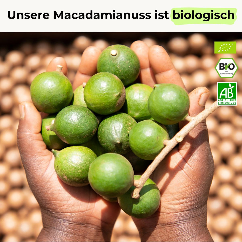 Macadamianuss
