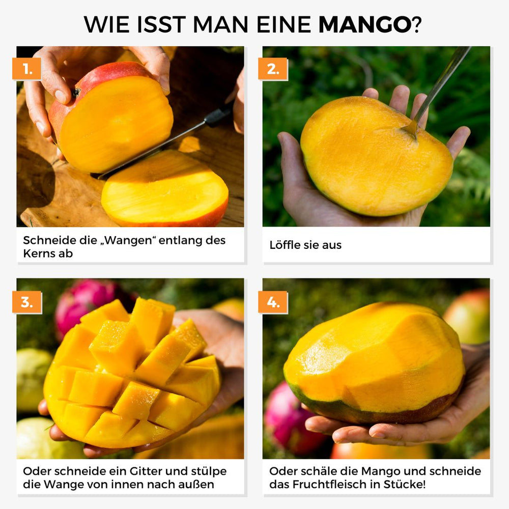 Mango Paradisio