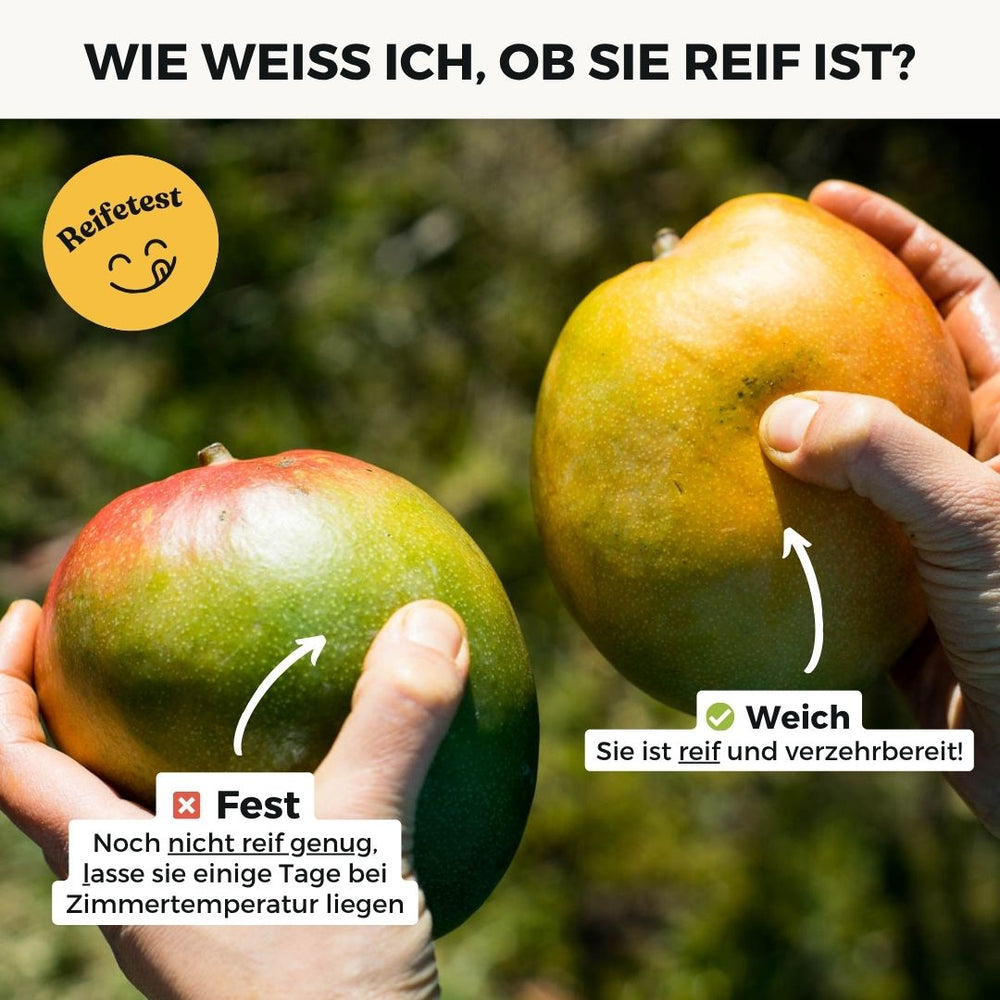 Mango Safeda