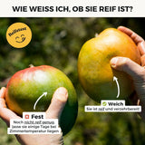 Mango Safeda