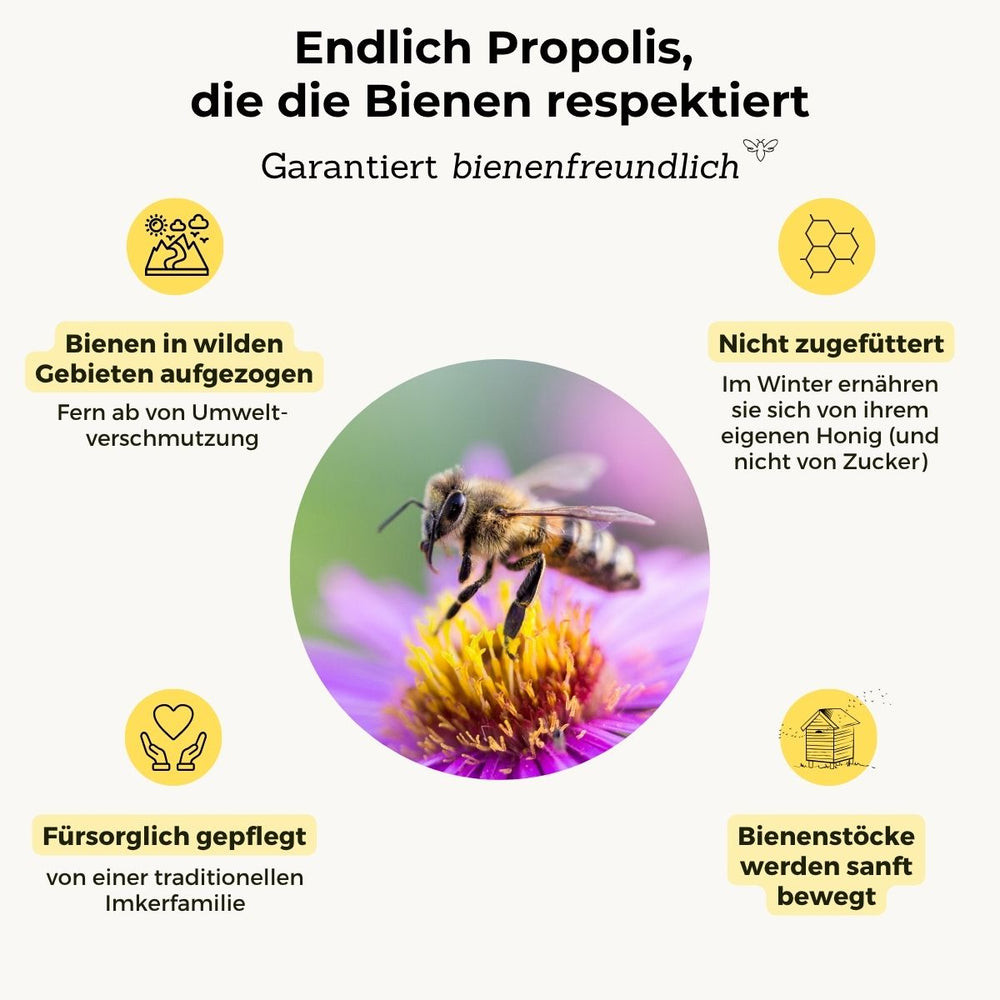 Propolis
