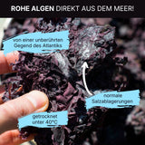 Algen Dulse getrocknet