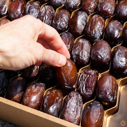 Date Medjool Super Fresh and Juicy