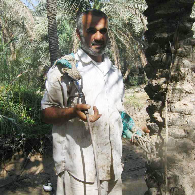 Date Barhi