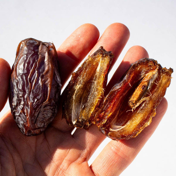 Datte Medjool Jumbo Premium