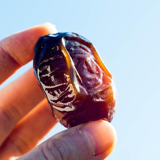 Date Medjool Super Fresh and Juicy