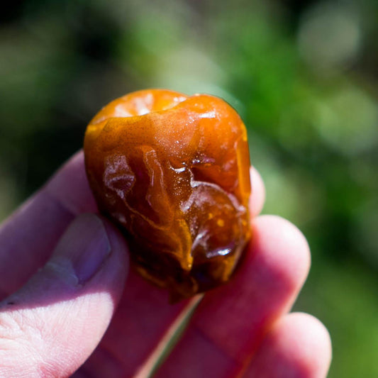 Date Sukkari Gold half-juicy
