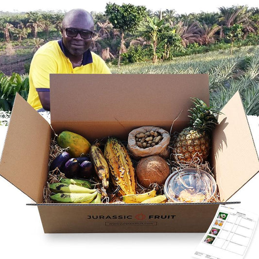 Discovery Box Cameroon
