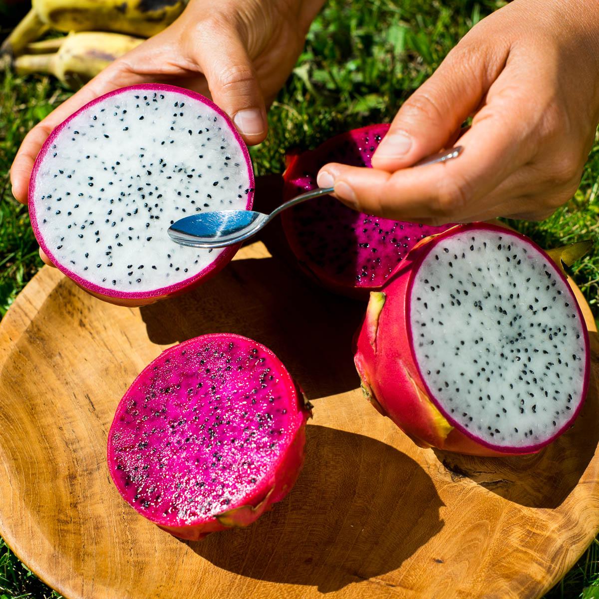 Drachenfrucht (Pitaya) Mix Box