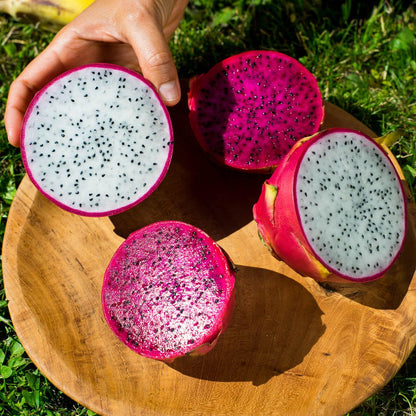 Drachenfrucht (Pitaya) Mix Box