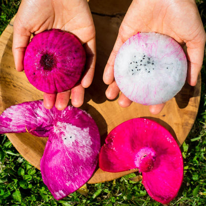 Drachenfrucht (Pitaya) Mix Box