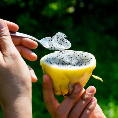 Dragon fruit (pitaya) yellow sweet