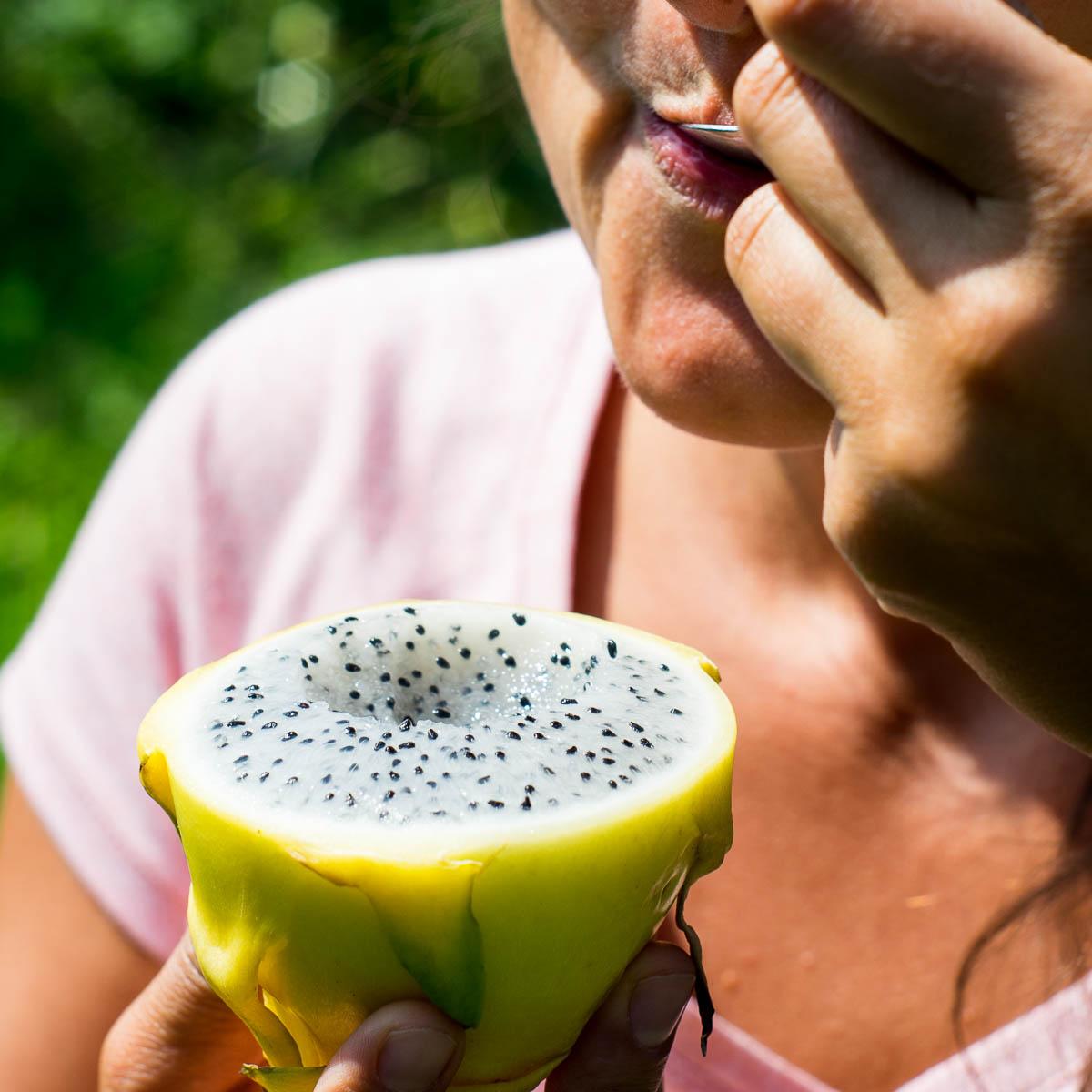 Dragon fruit (pitaya) yellow