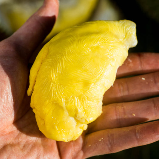 Durian Nok Yib geschält