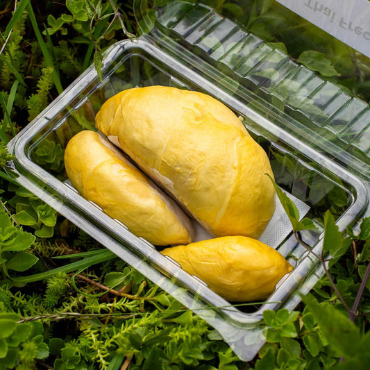 Durian Kan Yao geschält