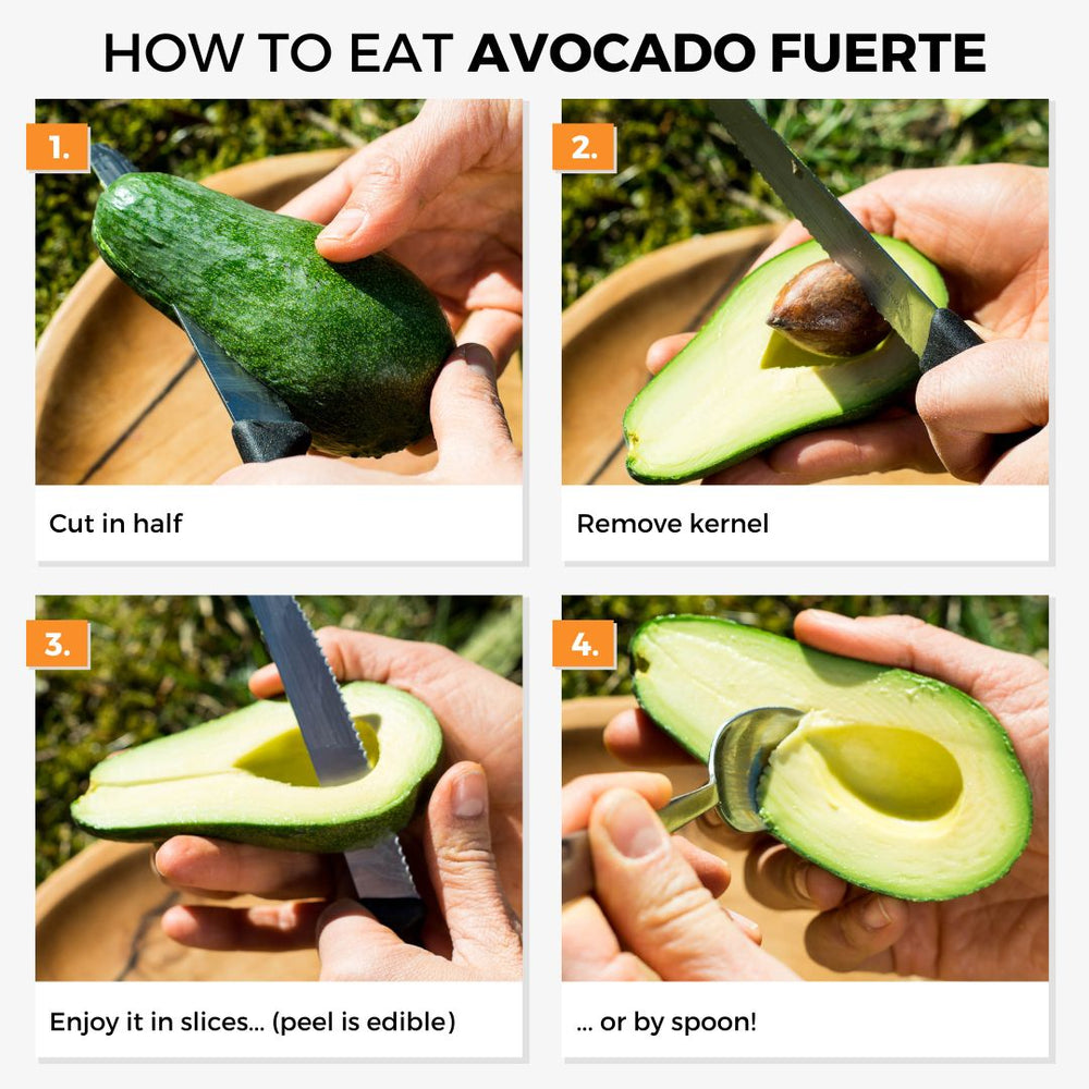 Avocado Fuerte