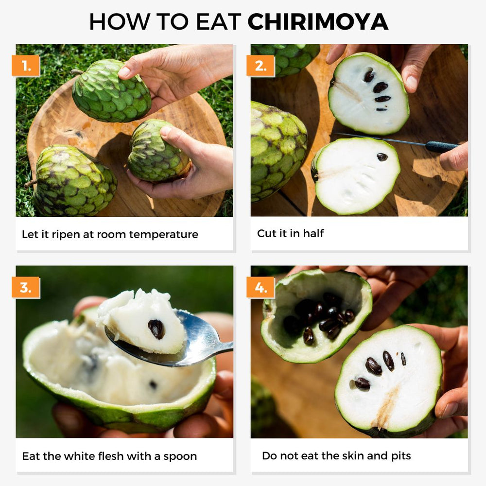 Chirimoya