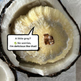 Coconut sprouted