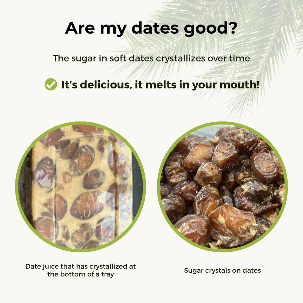 Date Barhi Fresh and Juicy