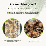 Date Barhi Fresh and Juicy