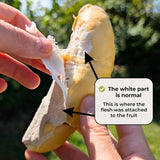 Durian Mon Thong peeled