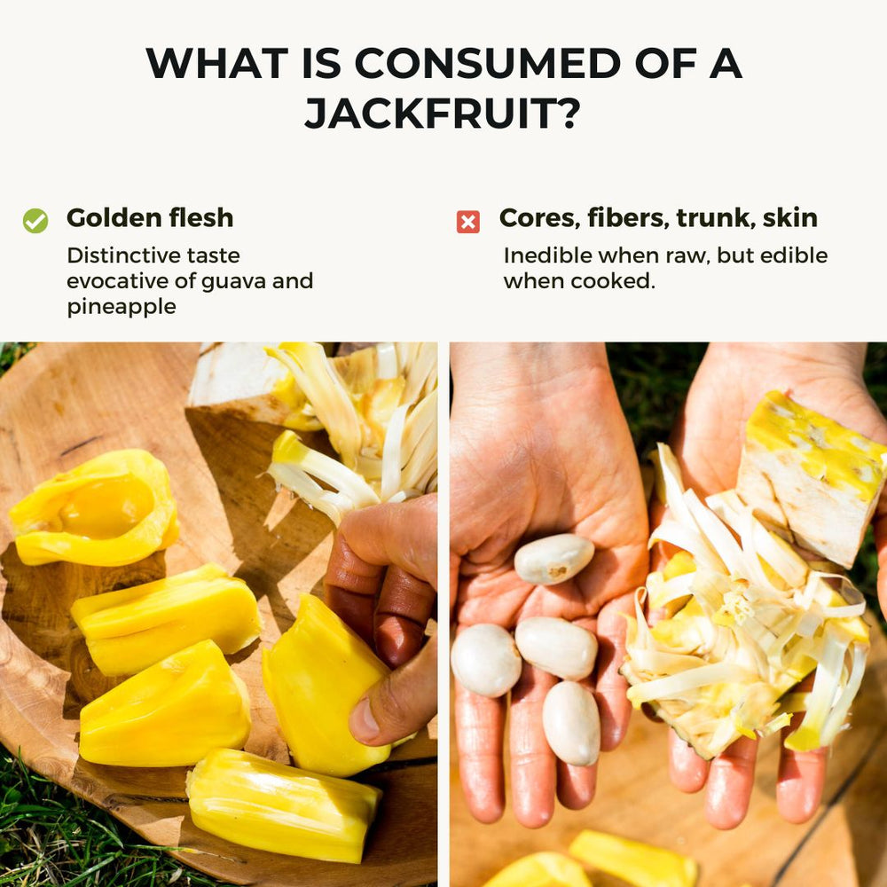 Jackfruit ripe Phet