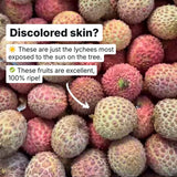 Lychee