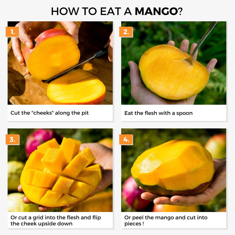 Mango Paradisio