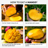 Mango Paradisio