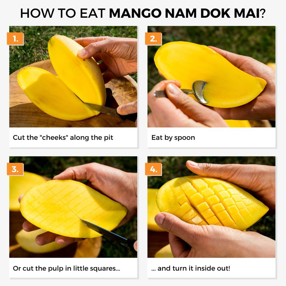 Mango Nam Dok Mai