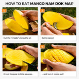 Mango Nam Dok Mai