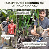 Coconut sprouted