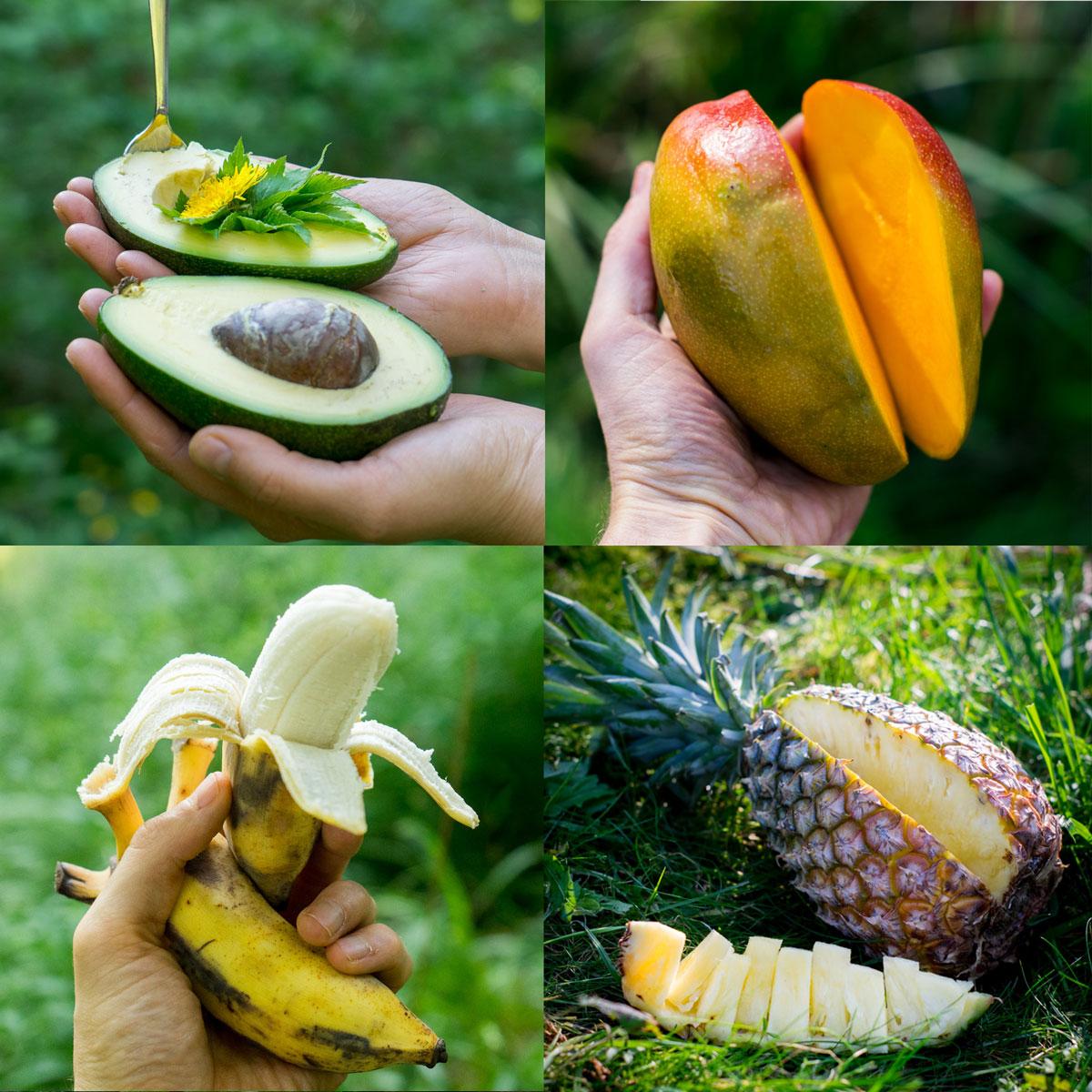 Exotic Fruit 4 Bestsellers Box