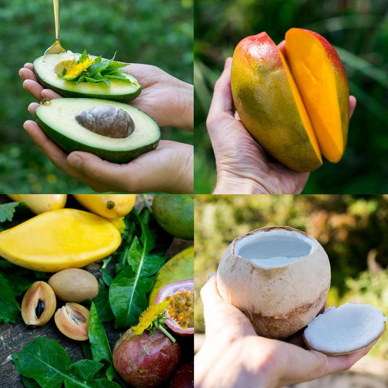 Exotic Fruit Discovery Box