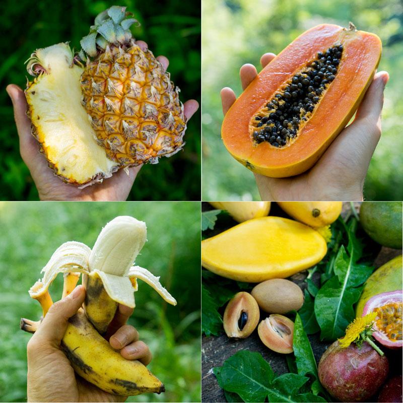 Exotic Fruit Discovery Box