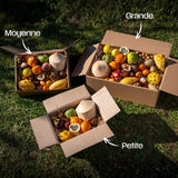 Box Découverte Fruits exotiques