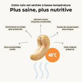Noix de cajou