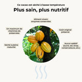 Éclats de fèves de cacao séchées