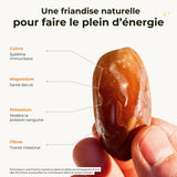Datte Deglet Nour branchée tendre