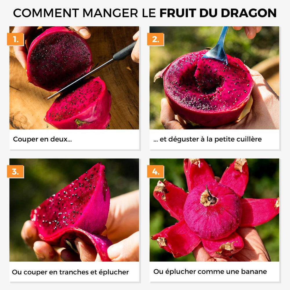 Fruit du Dragon (pitaya) rouge