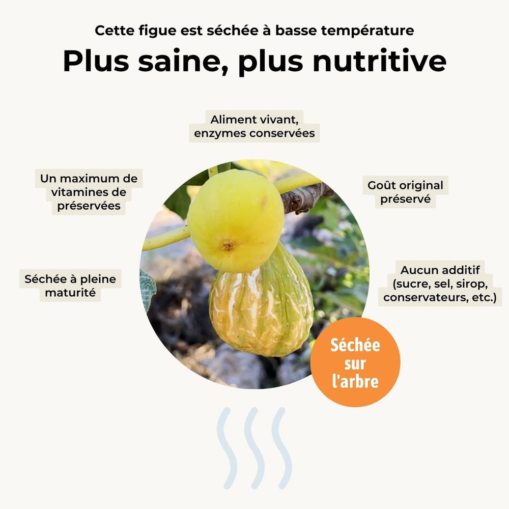 Figue blanche séchée