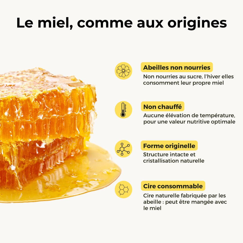 Miel en rayon d'Oranger