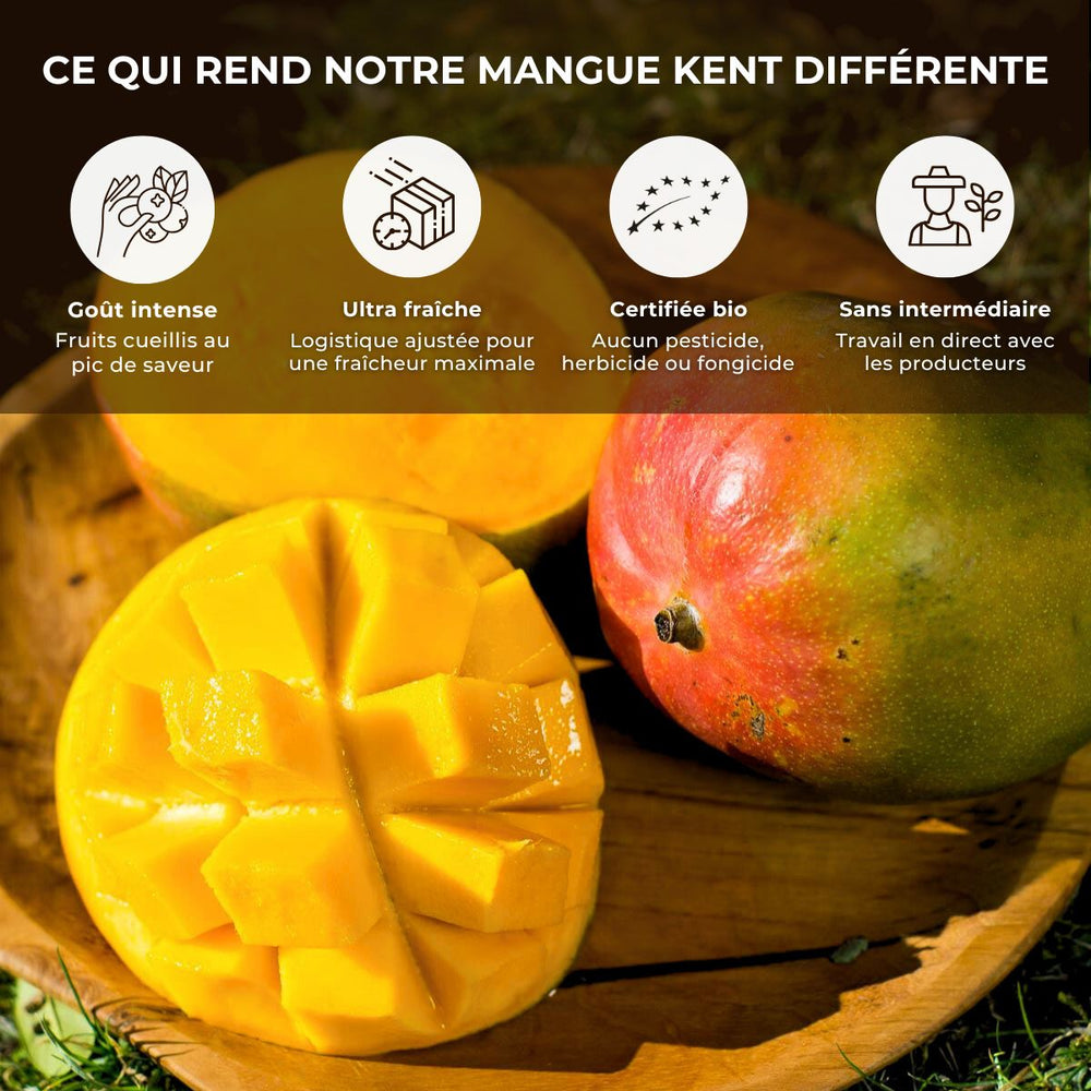 Mangue Kent