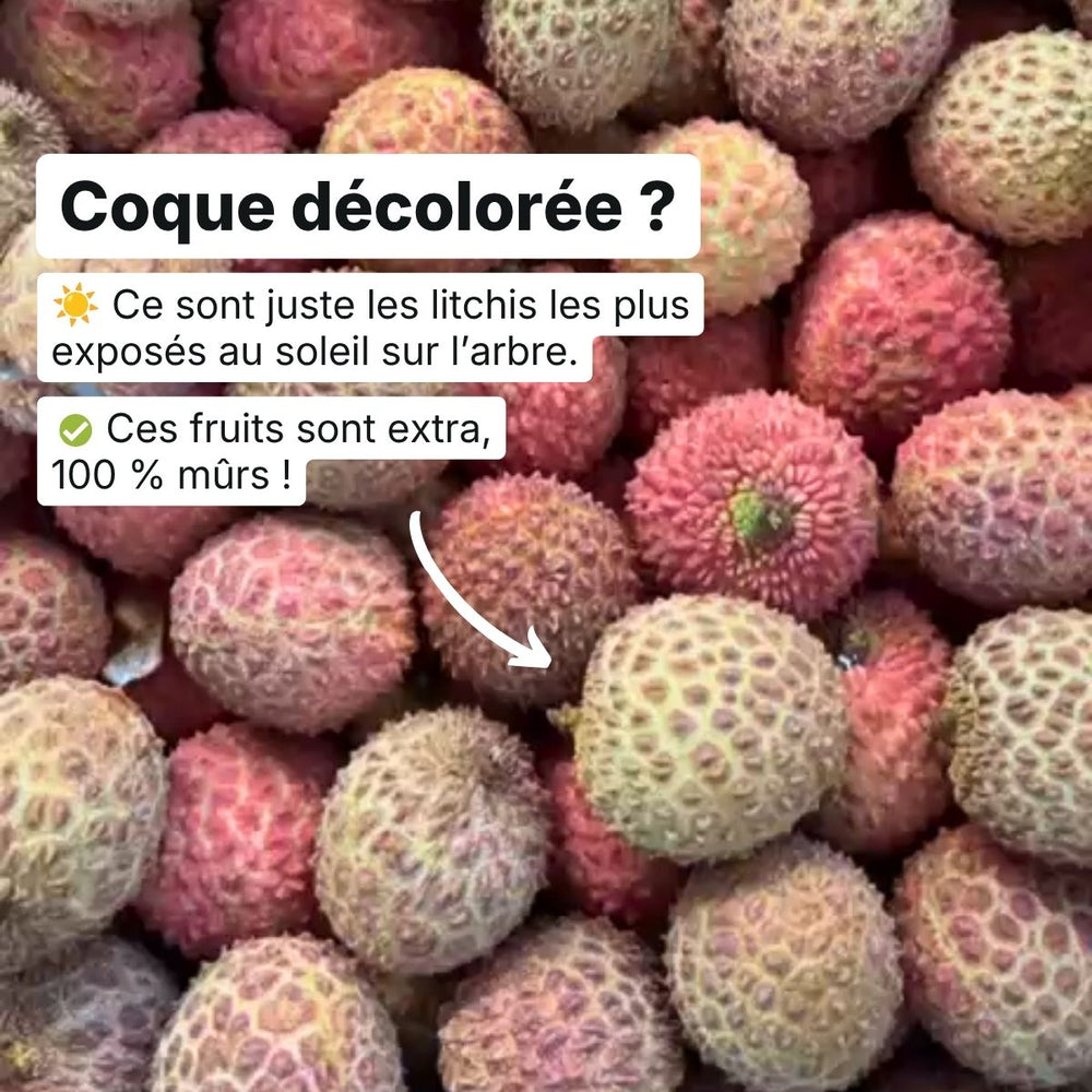 Litchi