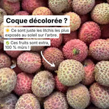 Litchi