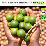 Noix de macadamia
