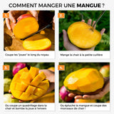 Box Mangues Mini Mix