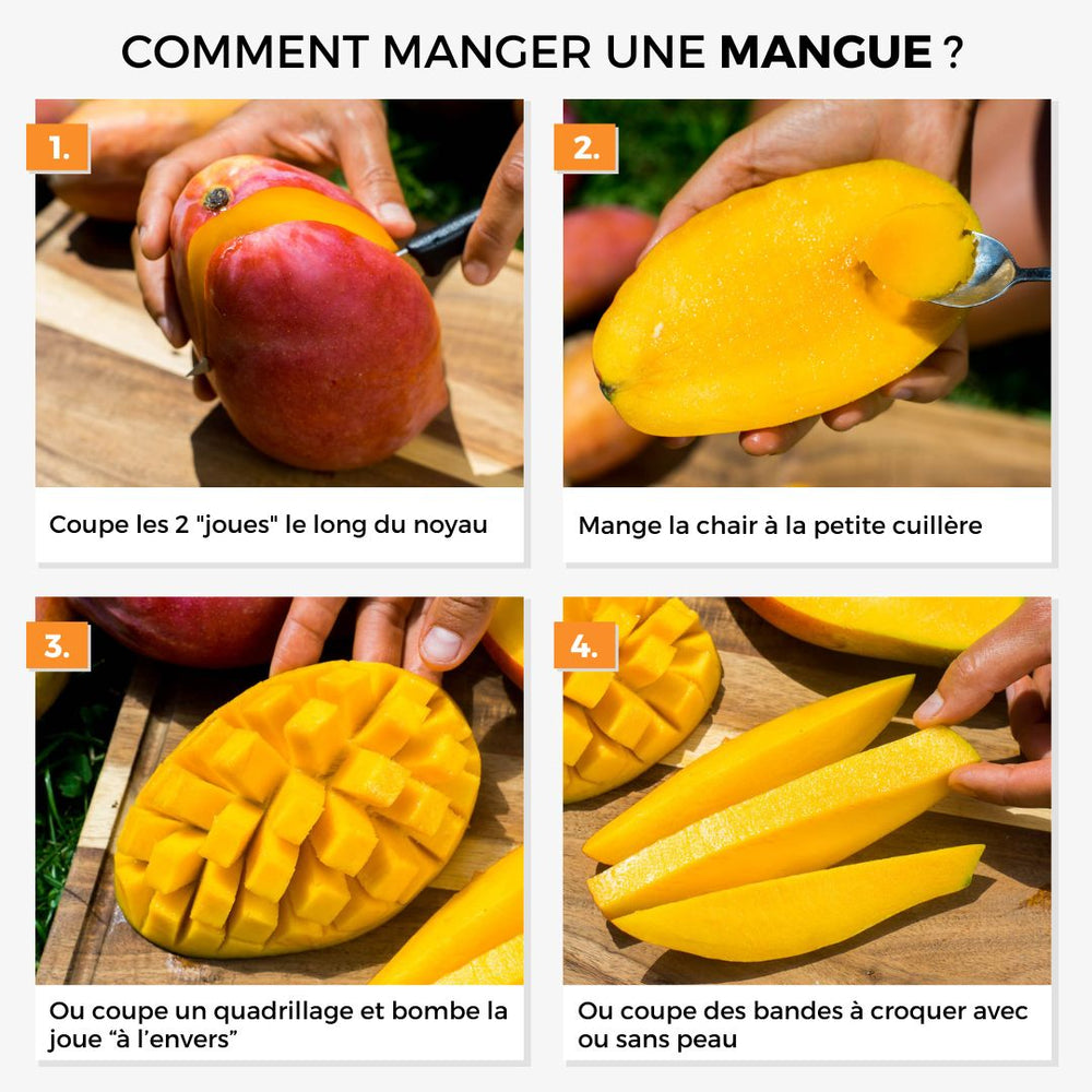 Mangue Irwin mini