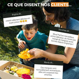Mangue Kent