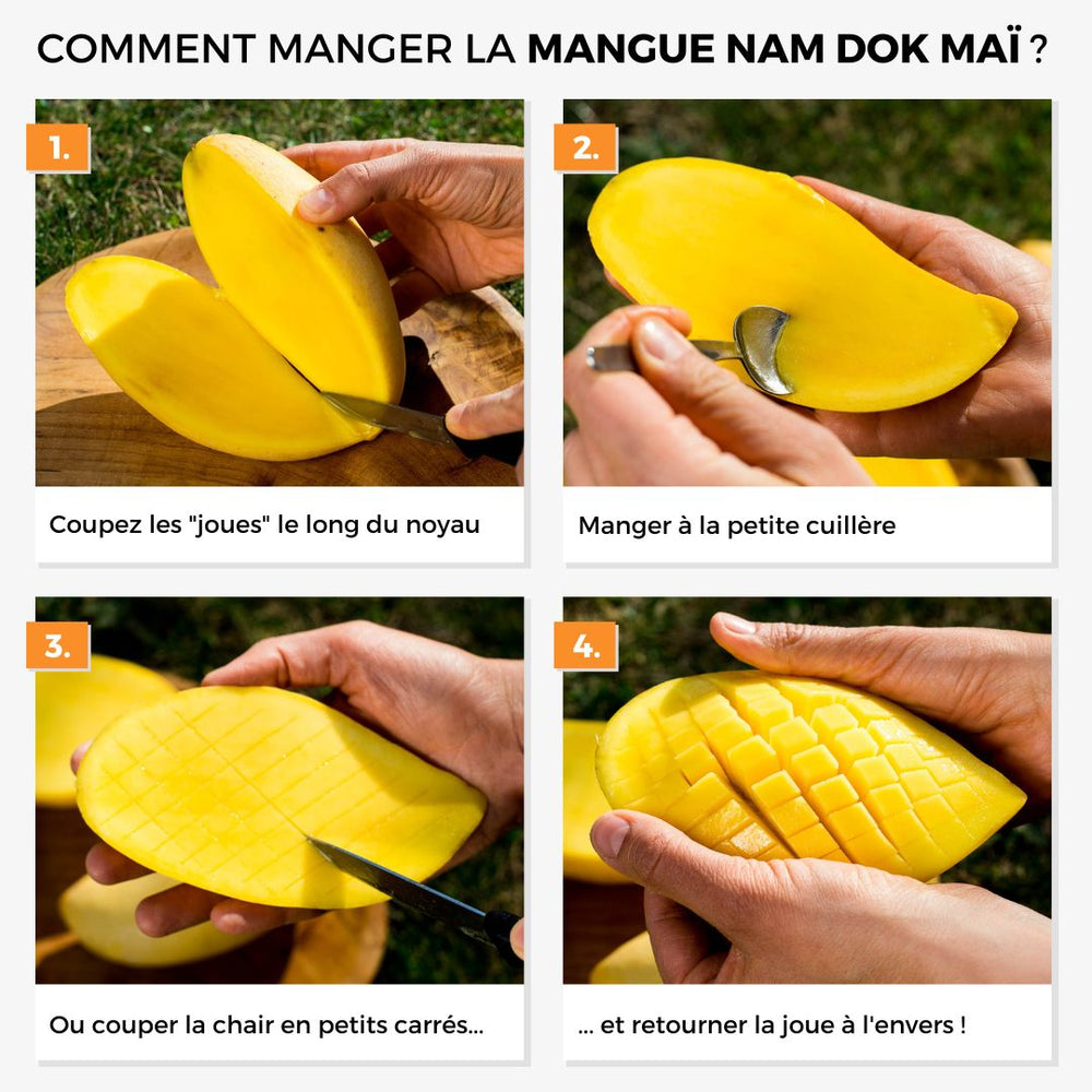 Mangue Nam Dok Maï